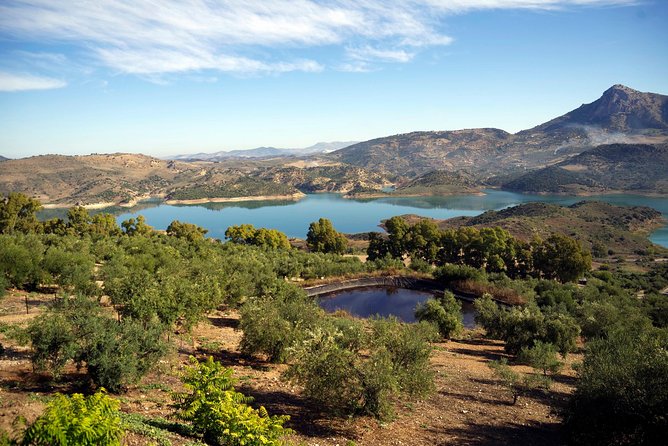 White Villages and Ronda Day Tour from Seville - What makes this day trip worth considering