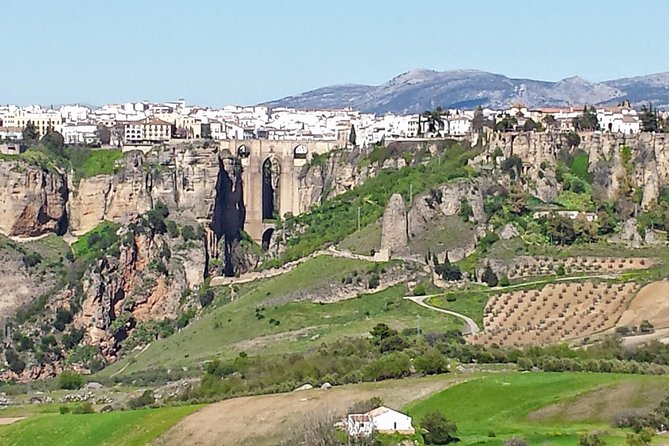 White Villages and Ronda Guided Day Tour from Seville - Guide quality and the English-language promise