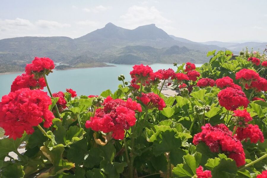 White Villages & Ronda 2-Days Trip & Overnight Stay - Leaving Seville for the old frontier