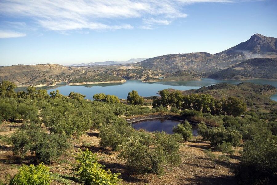 White Villages & Ronda 2-Days Trip & Overnight Stay - Grazalema lunch and free time