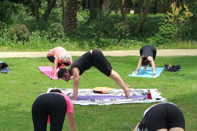Yoga at María Luisa Park in Seville - The value of $16.82