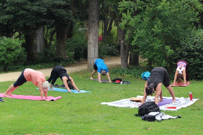 Yoga at María Luisa Park in Seville - A calm match for a busy Seville schedule
