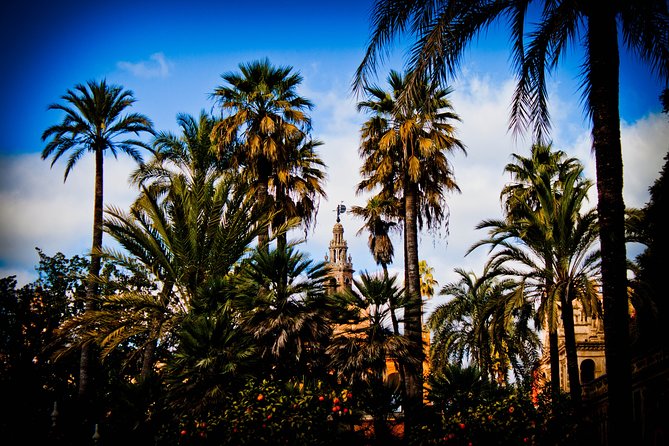 “Your First Day in Seville, the Local Way” - The Royal Alcázar exterior and Seville’s long story